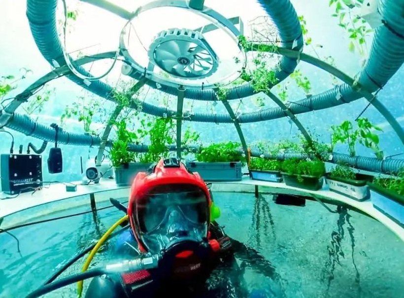 Vườn Nemo: Trang trại độc đáo dưới nước đầu tiên trên thế giới
