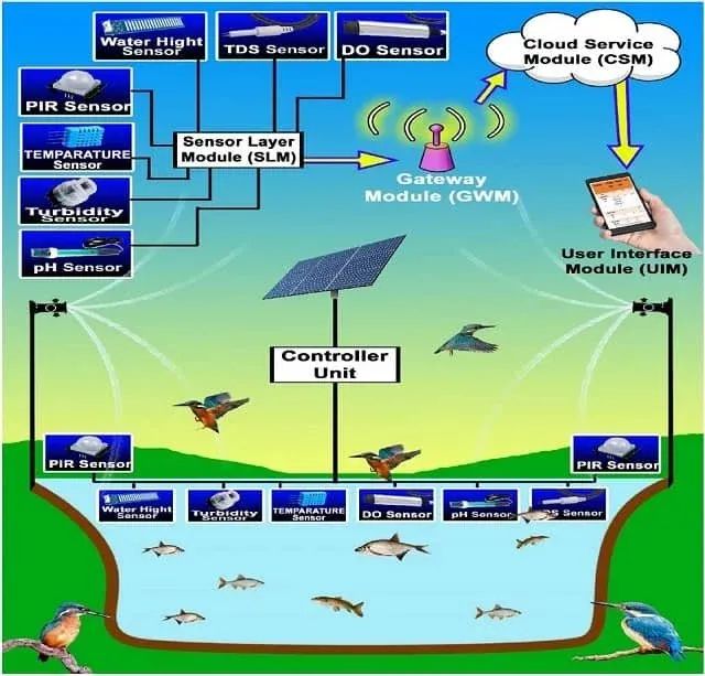 Công nghệ IoT trong nuôi trồng thủy sản