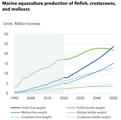 Thị trường hải sản toàn cầu vào năm 2050 sẽ ra sao?