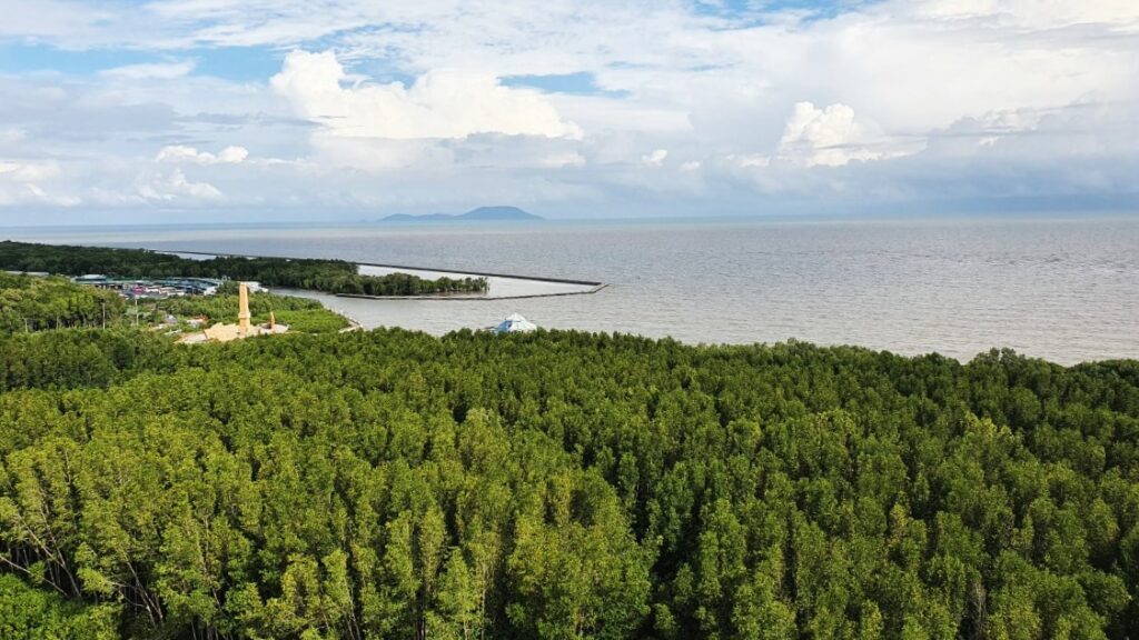 Cà Mau công bố hiện trạng rừng năm 2023
