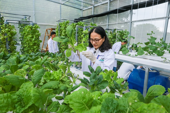 Trường Đại học Văn Lang & Đại học Middlesex hợp tác tiên phong trong cải tiến công nghệ nông nghiệp đô thị và chăm sóc sức khỏe