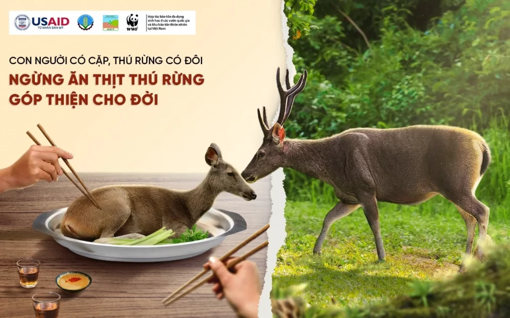 'Ngừng ăn thịt thú rừng, góp thiện cho đời' - Ảnh: USAID Biodiversity Conservation (thuộc dự án VFBC)/ WWF-Việt Nam.