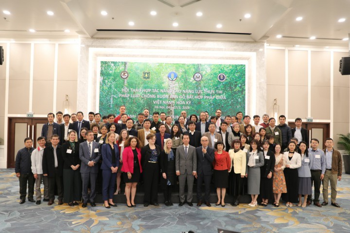 Việt Nam – Hoa Kỳ phối hợp tổ chức hội thảo nâng cao năng lực chống buôn bán gỗ trái pháp luật