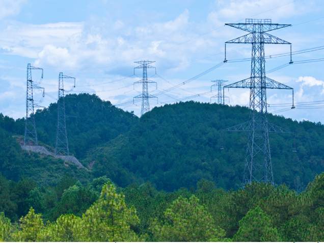 Bổ sung thêm một số quy định về tạm sử dụng rừng phục vụ thi công dự án lưới điện vì lợi ích quốc gia, công cộng