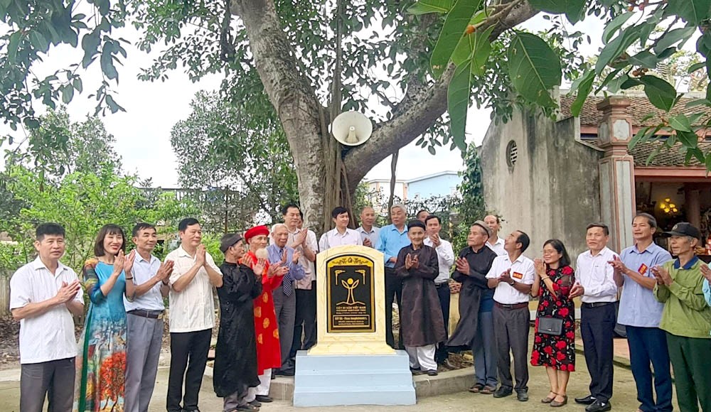 Thanh Hóa: 3 cây cổ thụ được công nhận Cây Di sản Việt Nam