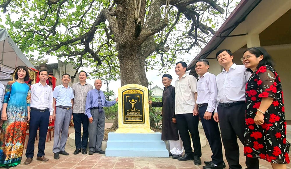 Thanh Hóa: 3 cây cổ thụ được công nhận Cây Di sản Việt Nam