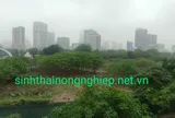 Tập đoàn GFS: Có chậm triển khai dự án Five Star Residence không?