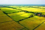Đề xuất bổ sung quy định người sử dụng đất nông nghiệp được chuyển đổi cơ cấu cây trồng, vật nuôi
