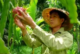Quảng Nam: Trang trại tổng hợp bên hố Giang Thơm sẽ là nơi trải nghiệm giá trị cho du khách