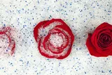 Nghệ thuật bảo quản hoa xưa và nay