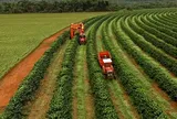 Brazil – từng bước tiến hành kế hoạch nông nghiệp ít carbon