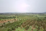 Đến hết năm 2024, huyện Krông Pắc sẽ có hơn 1.400 ha trồng sầu riêng đạt chuẩn VietGAP