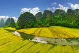 Ninh Bình - Hành trình di sản qua các thời đại: Tôn vinh giá trị văn hóa và thúc đẩy du lịch bền vững