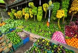 Vài nét về nông nghiệp Malaysia