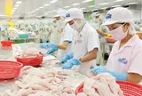 Top các công ty xuất khẩu cá tra lớn nhất Việt Nam 10 năm qua