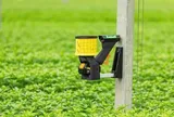 Robcam: Máy phát hiện sâu bệnh thông minh mới
