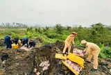 Ngăn chặn hàng chục tấn thực phẩm đông lạnh trước thềm Tết Nguyên đán