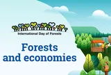 Rừng khỏe mạnh chính là nền tảng cho sự giàu có của nhân loại