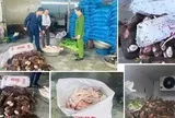 Thanh Hóa mạnh tay xử lý thực phẩm bẩn: Tạm giữ gần 6 tấn đuôi, chân, xương và gân trâu không rõ nguồn gốc, xuất xứ
