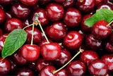 Ngành cherry Chile trước ngưỡng cửa tái cấu trúc vì khủng hoảng dư cung