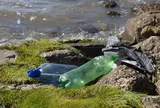 Tái sinh rác thải nhựa thành nhiên liệu hydro sạch bằng năng lượng mặt trời