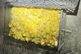 Quảng Ninh: Bắt giữ gần 8.000 gia cầm giống không rõ nguồn gốc, xuất xứ