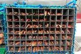 Giải pháp bảo quản hải sản thông minh cho những con tàu nhỏ