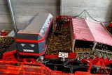 Giải pháp tự động hóa và thị giác máy tính trong quy trình phân loại khoai tây