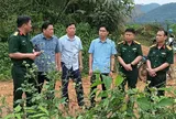 Theo lời Bác dạy, Phúc Lợi xây dựng mô hình kinh tế rừng hiệu quả