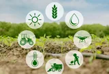 Cắt giảm, đơn giản hóa điều kiện kinh doanh của 11 lĩnh vực nông nghiệp và môi trường