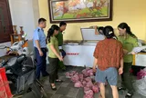 Thanh Hóa: Phát hiện, thu giữ 290 cá thể cò hương đã sơ chế, cấp đông chờ tiêu thụ