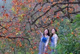 Tìm giải pháp phát triển du lịch nông thôn và chuỗi giá trị du lịch nông thôn Nghệ An