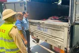 Phú Thọ: Tiêu hủy 4 tấn mỡ và da trâu, bò không đảm bảo an toàn thực phẩm