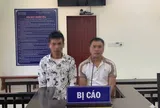 Xét xử vụ phá rừng Pù Luông: Lời cảnh tỉnh nghiêm khắc với hành vi xâm hại rừng đặc dụng