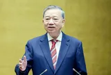 VÌ MỘT NỀN VĂN MINH SINH THÁI, MỘT VIỆT NAM XANH VÀ MỘT ĐẠI DƯƠNG HÒA BÌNH, BỀN VỮNG