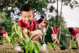 Những hành động nhỏ tạo nên sự thay đổi lớn