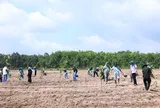 Chung tay phục hồi rừng tại vùng đệm hồ Dầu Tiếng
