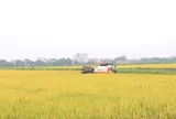 Khẩn trương hoàn thiện Bộ tiêu chí xã nông thôn mới giai đoạn 2026- 2030