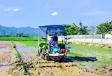 Hướng đi bền vững cho người nông dân từ mô hình canh tác giảm phát thải