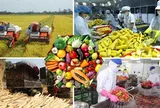 Điểm sáng kinh tế: Nông nghiệp xuất siêu 8,41 tỷ USD