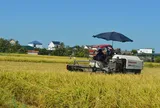 Khi người nông dân có thể bán sản phẩm ‘vô hình’ từ những cánh đồng tín chỉ carbon