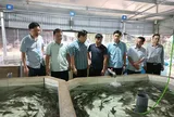 Người tiên phong ‘đánh thức’ cá tầm dưới chân núi Voi
