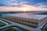 Nhà kính Hà Lan: Giải mã 'cỗ máy in tiền' của nền nông nghiệp hiện đại