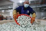 Bài học thoát bẫy 'bán thô' xây dựng sản nghiệp hơn 3 nghìn tỉ từ trứng vịt