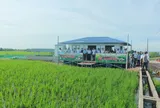 Phát triển nông nghiệp hữu cơ trở thành xu thế tất yếu, góp phần bảo vệ môi trường
