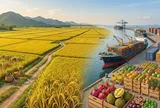 Những điểm sáng của ngành nông nghiệp 6 tháng đầu năm 2026: An ninh lương thực đảm bảo, xuất khẩu tăng tốc