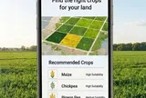 FAO ra mắt ứng dụng CropSuit: Giúp nông dân chọn đúng cây, trồng đúng đất