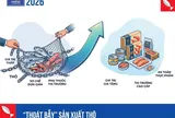 Thoát bẫy xuất khẩu thô giá rẻ: Bước chuyển mình nghìn tỷ của ngành thủy sản Việt Nam