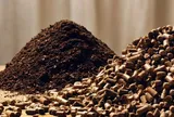 Giải mã giá trị của những mỏ vàng bị lãng quên trên đồng ruộng Việt Nam