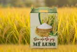 Gạo nếp Gà Gáy: Từ huyền thoại dân gian đến thương hiệu được bảo hộ quốc gia